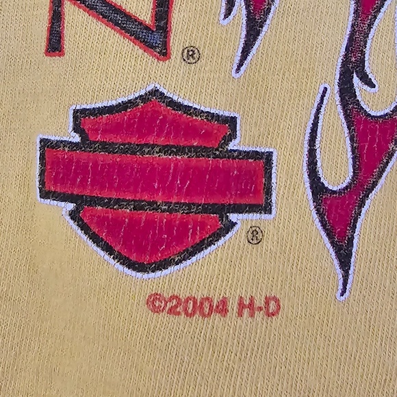 2004 Harley Davidson T-Shirt w/flames - *Myrtle Beach, SC* (Back side) - Picture 3 of 11